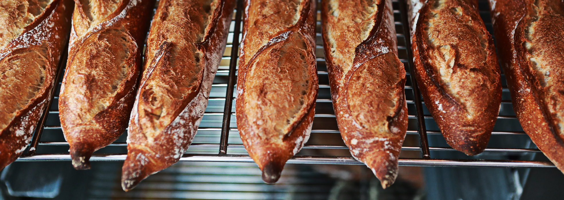 面包技能培训课 面包技能培训课